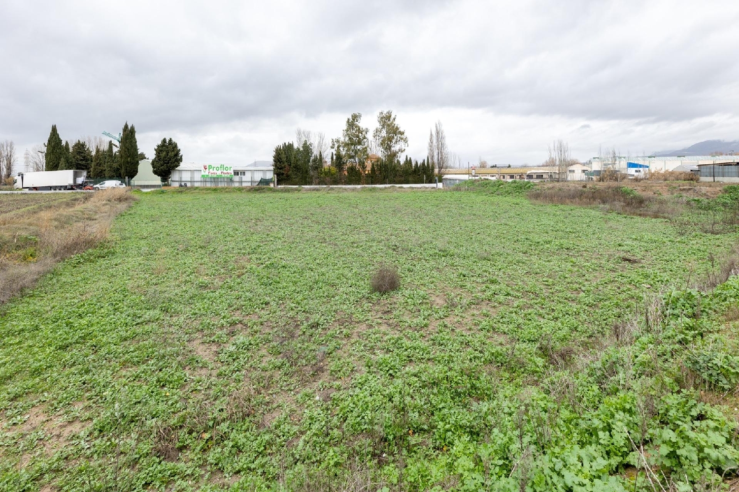 for sale plot Armilla Vega De Granada 4