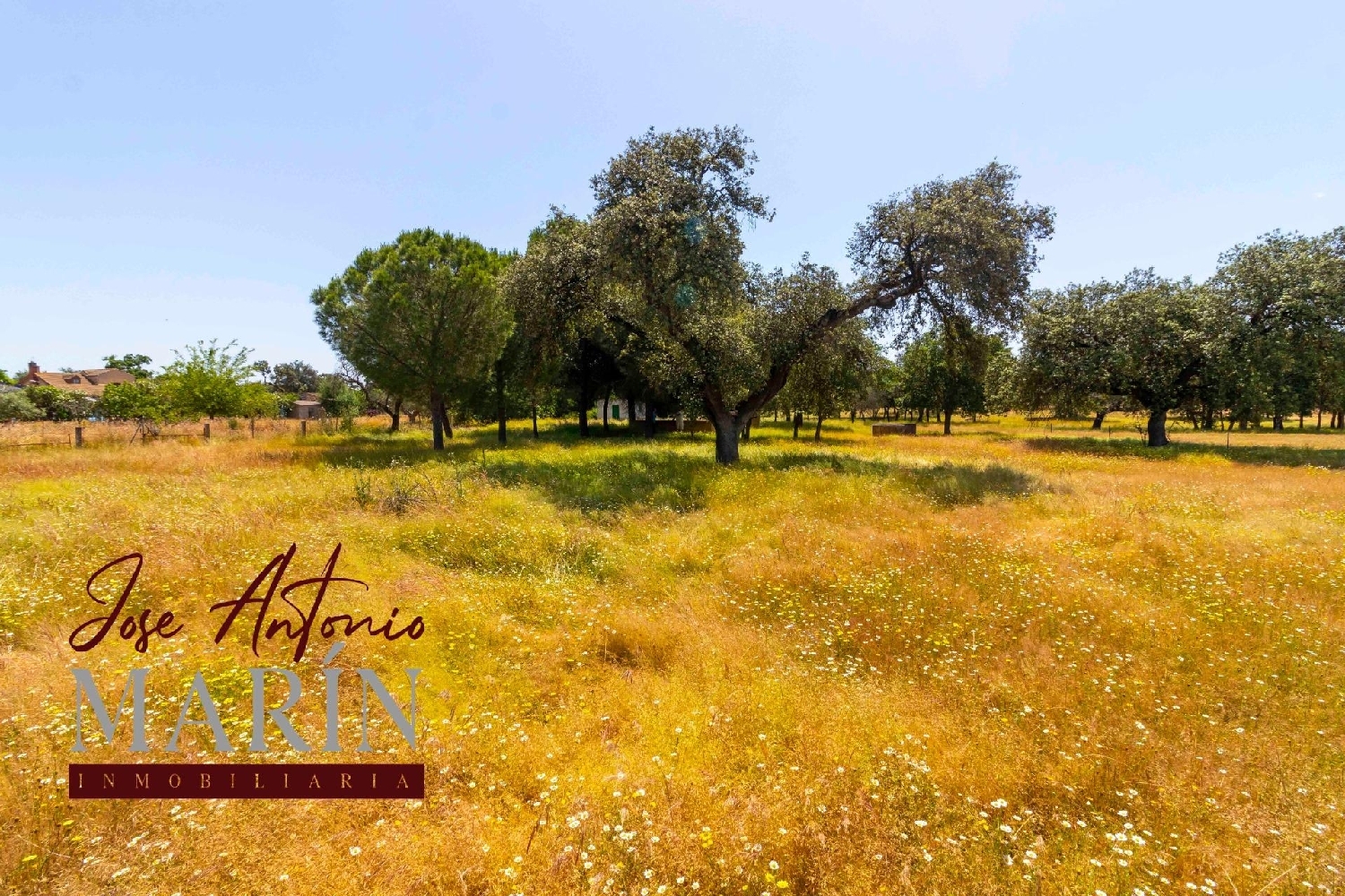  till salu tomt Badajoz Casco Antiguo-Centro Badajoz 4