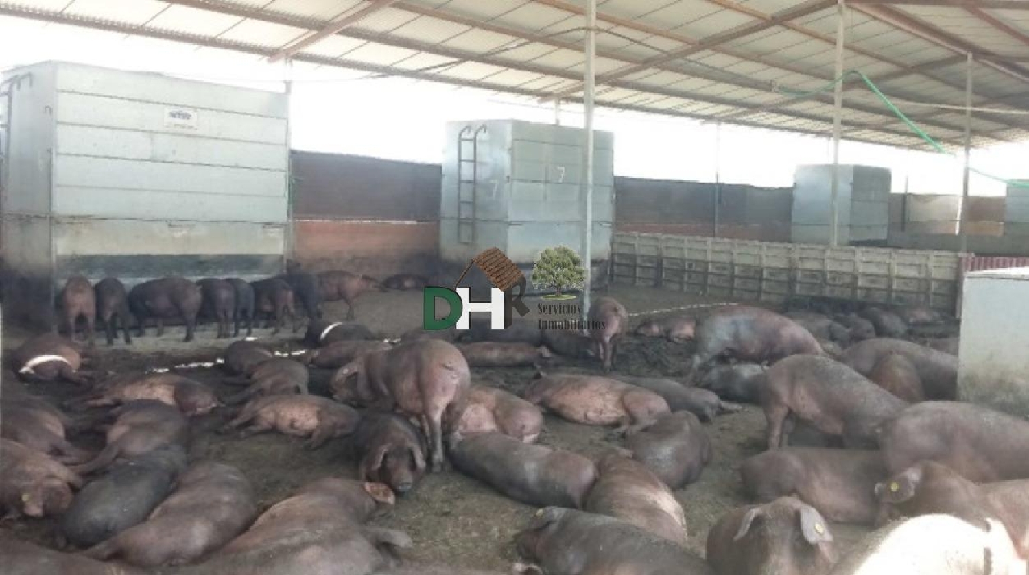  kaufen Grundstück Badajoz Casco Antiguo-Centro Badajoz 1