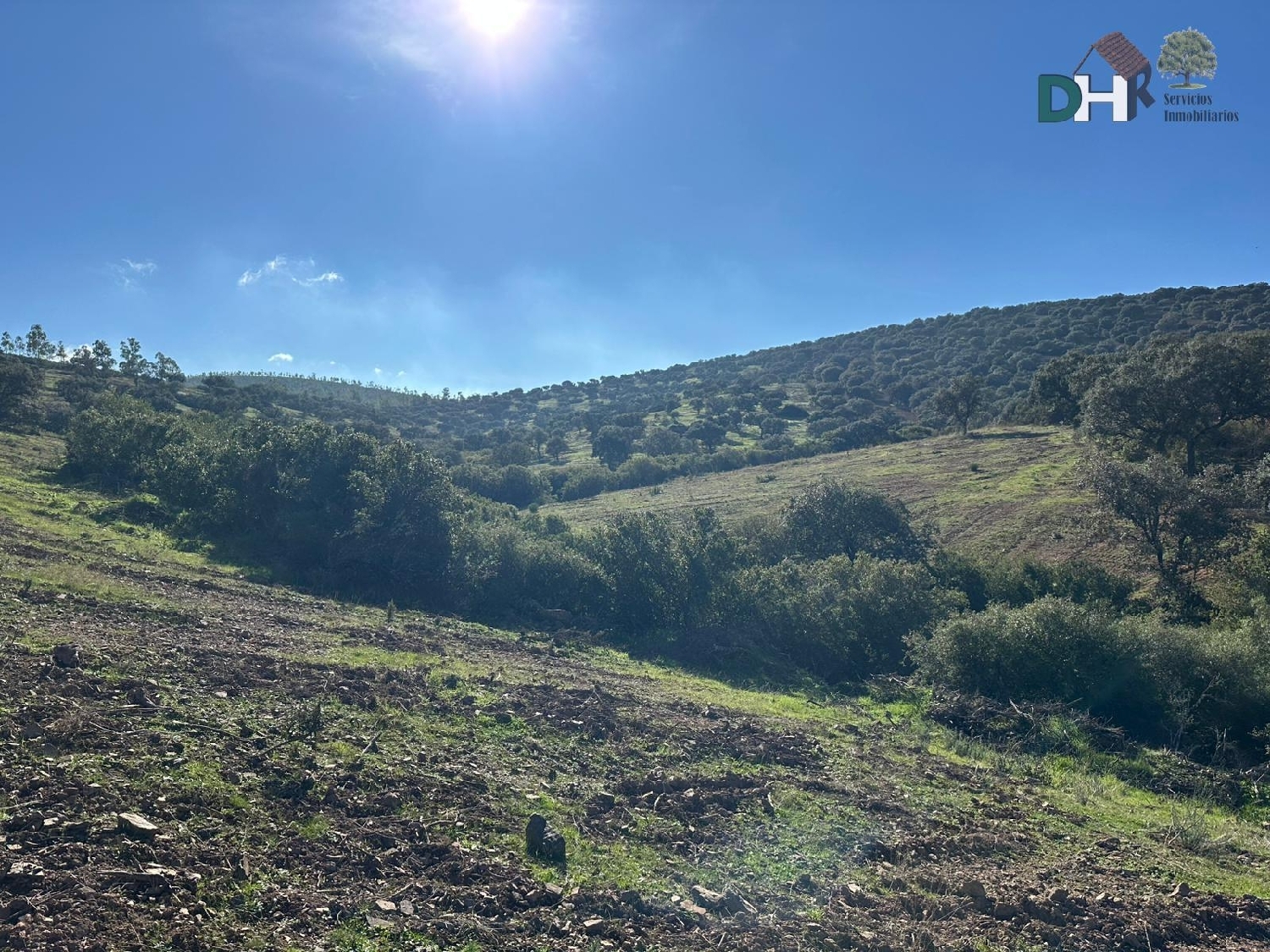  kaufen Grundstück Badajoz Casco Antiguo-Centro Badajoz 5