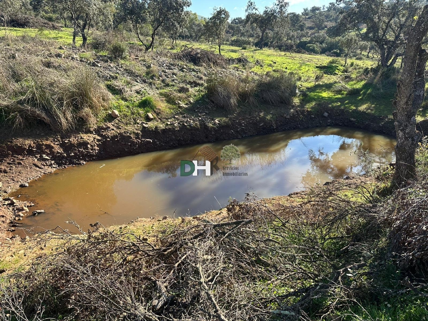  kaufen Grundstück Badajoz Casco Antiguo-Centro Badajoz 6