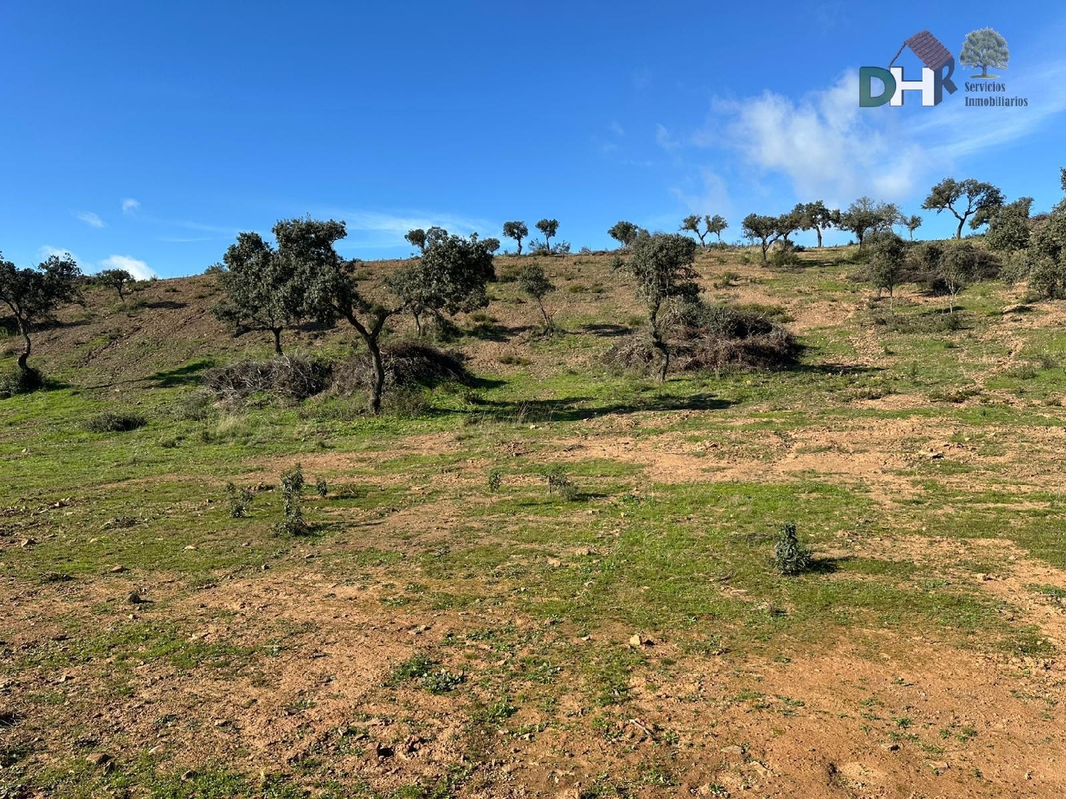 kaufen Grundstück Badajoz Casco Antiguo-Centro Badajoz 2