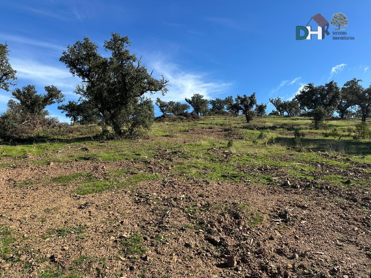  kaufen Grundstück Badajoz Casco Antiguo-Centro Badajoz 3