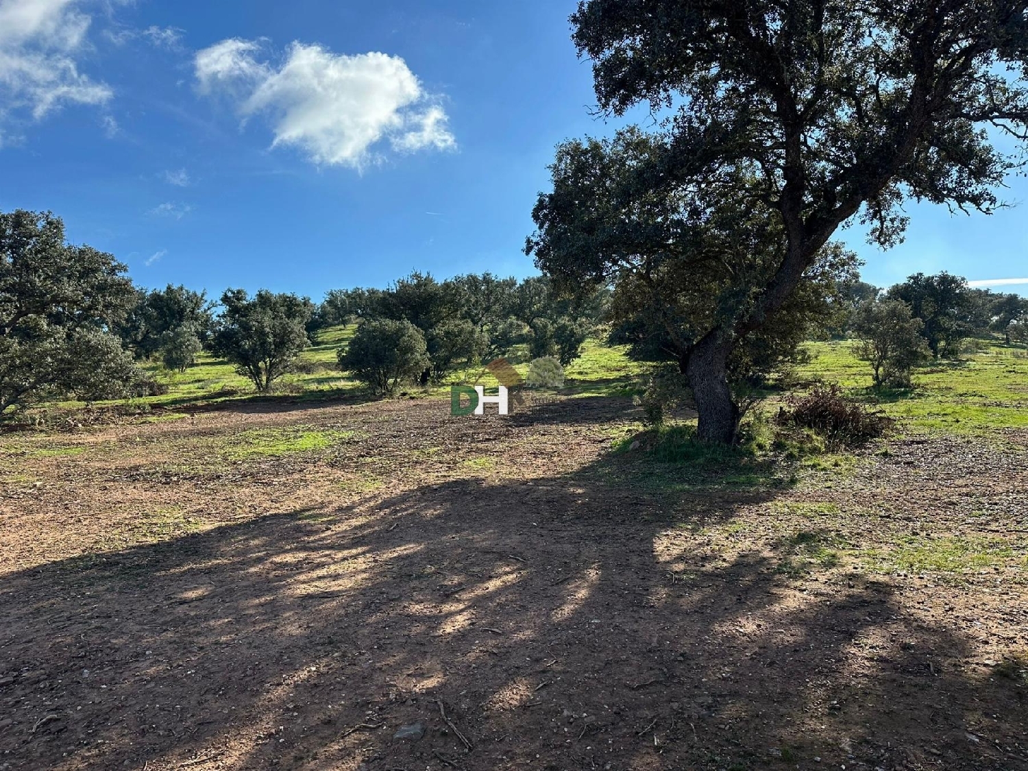  kaufen Grundstück Badajoz Casco Antiguo-Centro Badajoz 8
