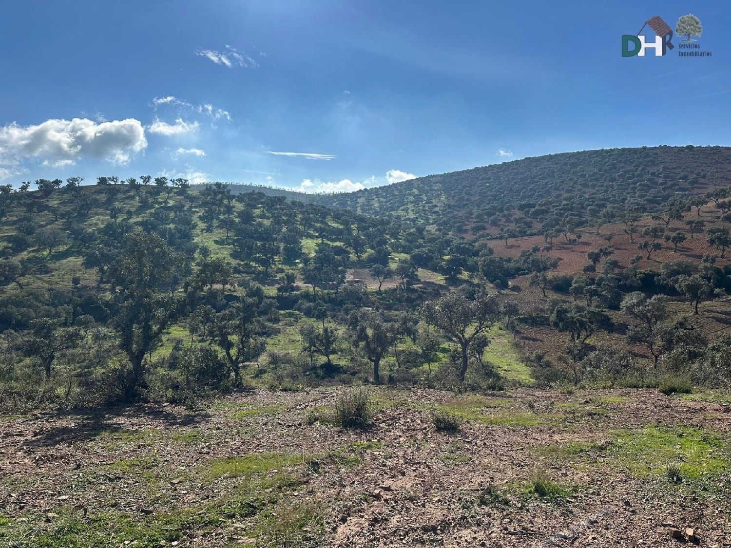  kaufen Grundstück Badajoz Casco Antiguo-Centro Badajoz 1