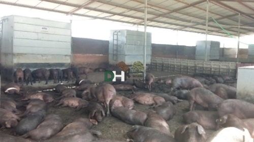 Badajoz Casco Antiguo-Centro Badajoz Grundstück Bild 6347714