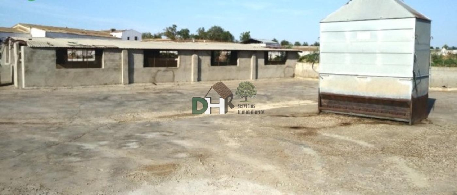 kaufen Grundstück Badajoz Casco Antiguo-Centro Badajoz 3