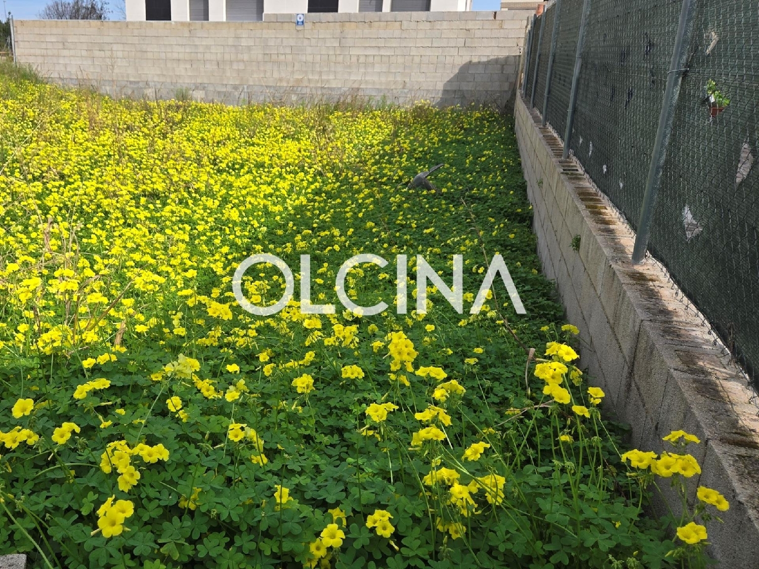 for sale plot Bellreguard Safor 3