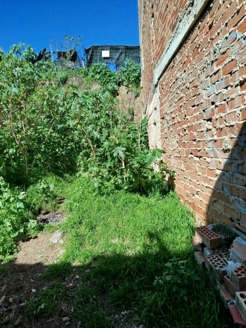 Benamocarra Axarquía perceel foto 6353532