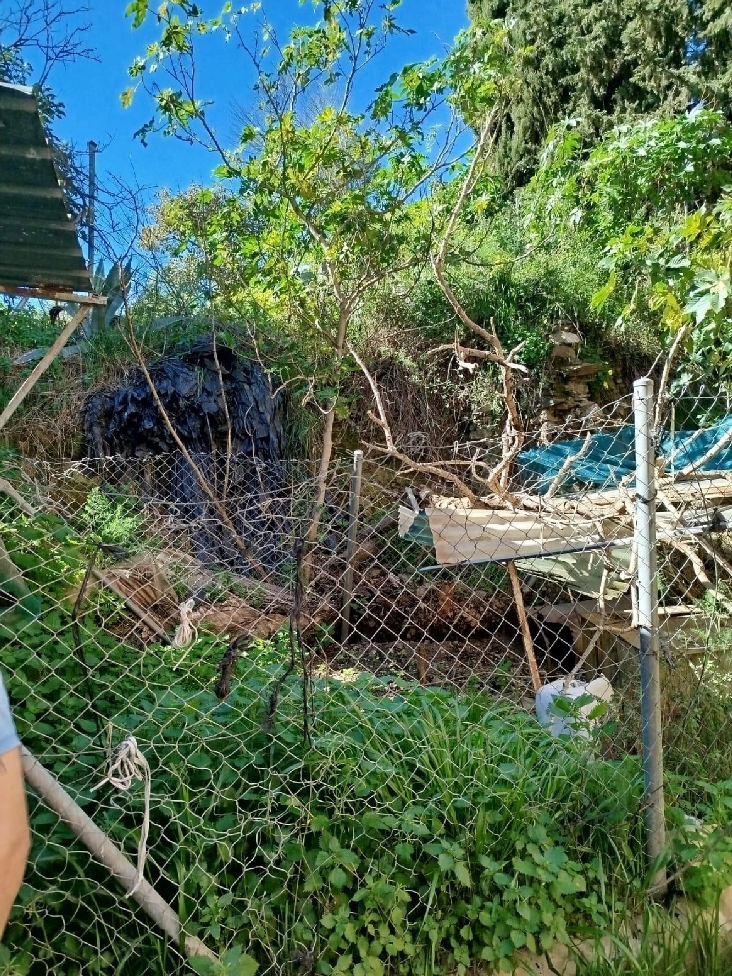 te koop perceel Benamocarra Axarquía 3