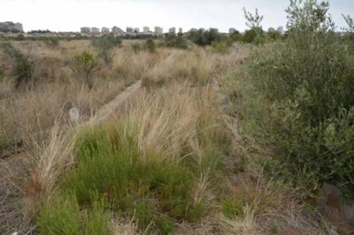 Benicasim Plana Alta tomt foto 6353178