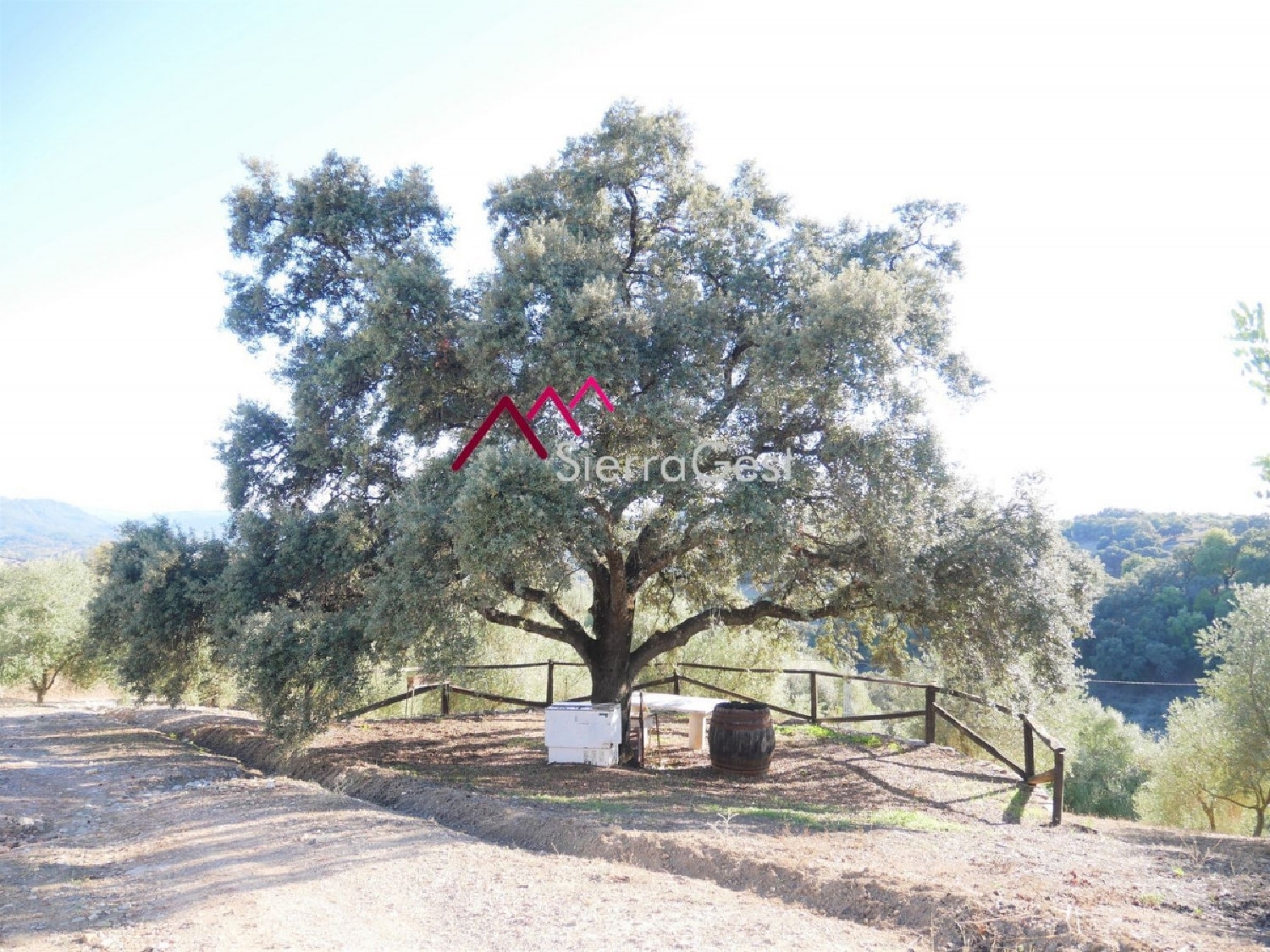  till salu tomt Bosque Bergantiños 2