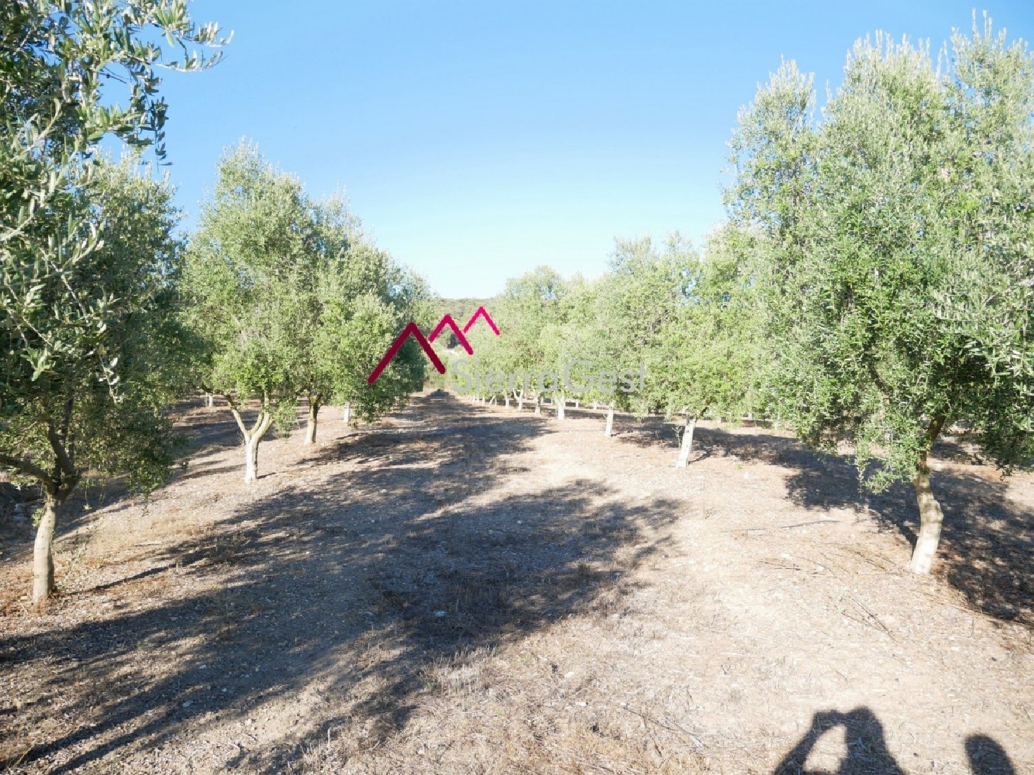  till salu tomt Bosque Bergantiños 8