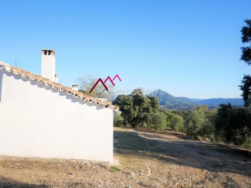 Bosque Bergantiños tomt foto 6350558