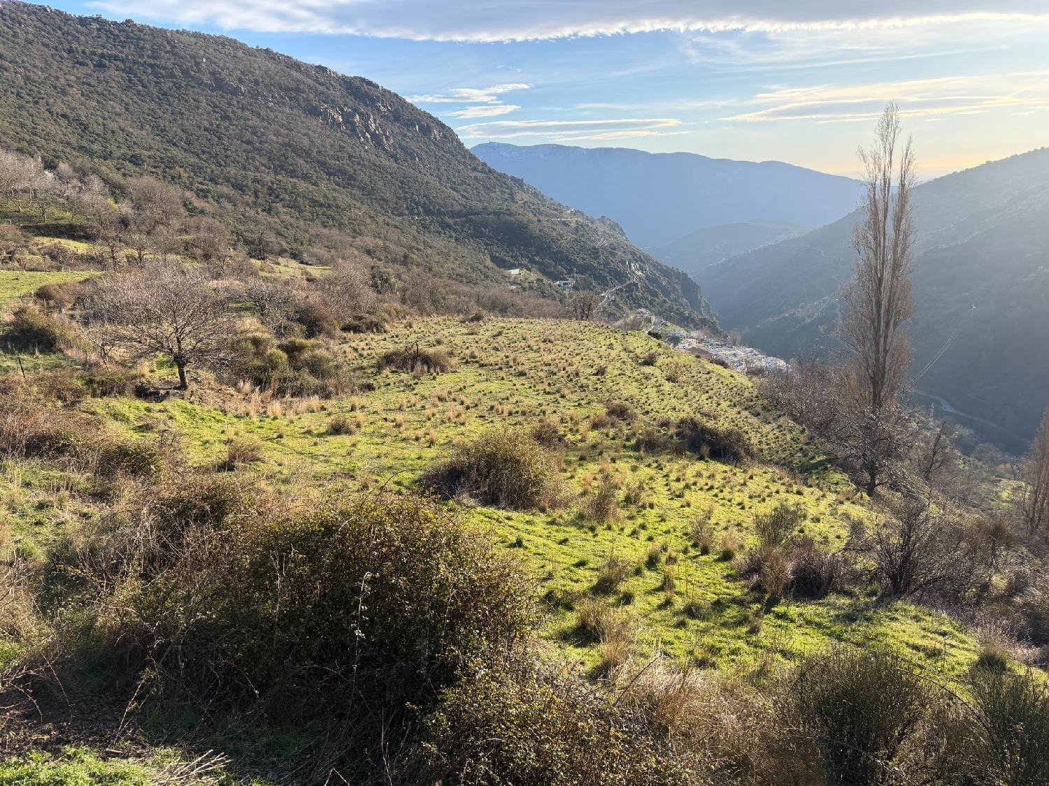 for sale plot Bubión Alpujarra Granadina 2