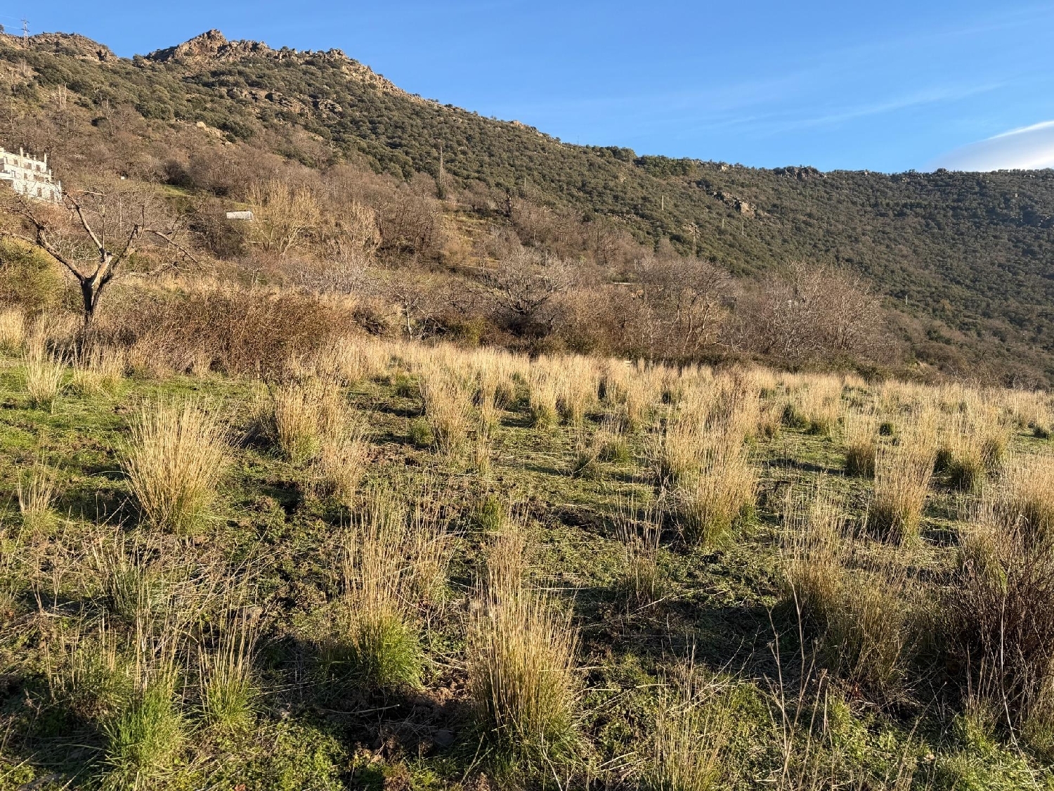 for sale plot Bubión Alpujarra Granadina 4