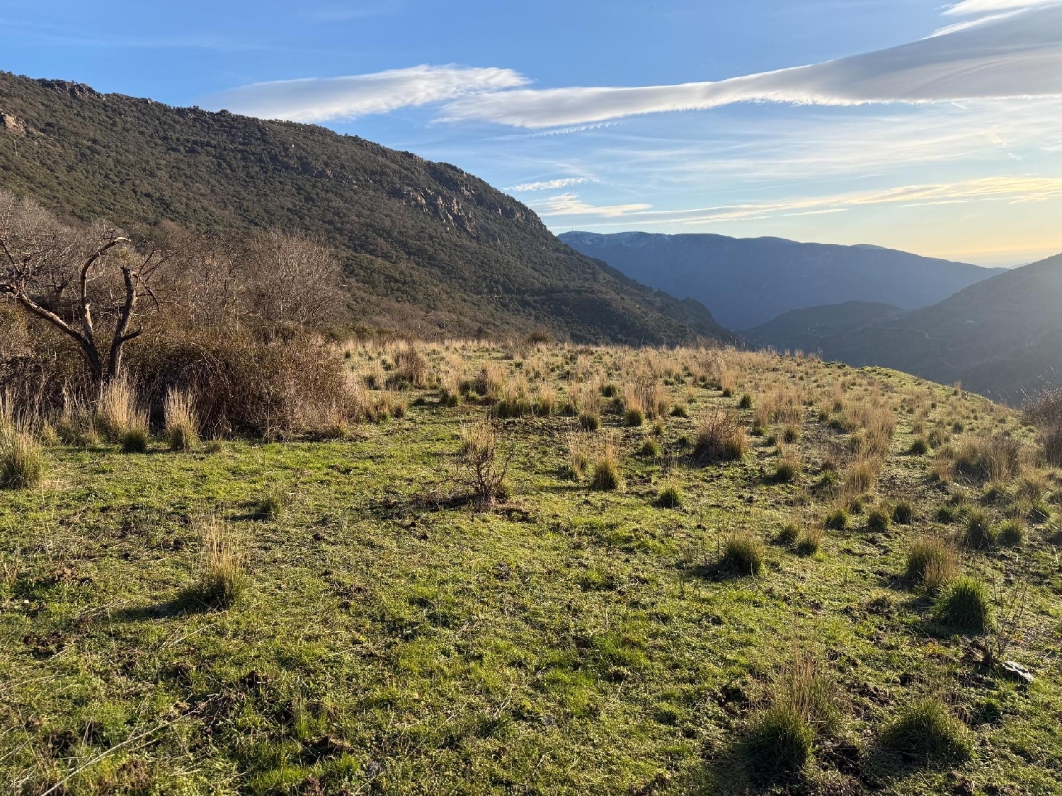 for sale plot Bubión Alpujarra Granadina 7