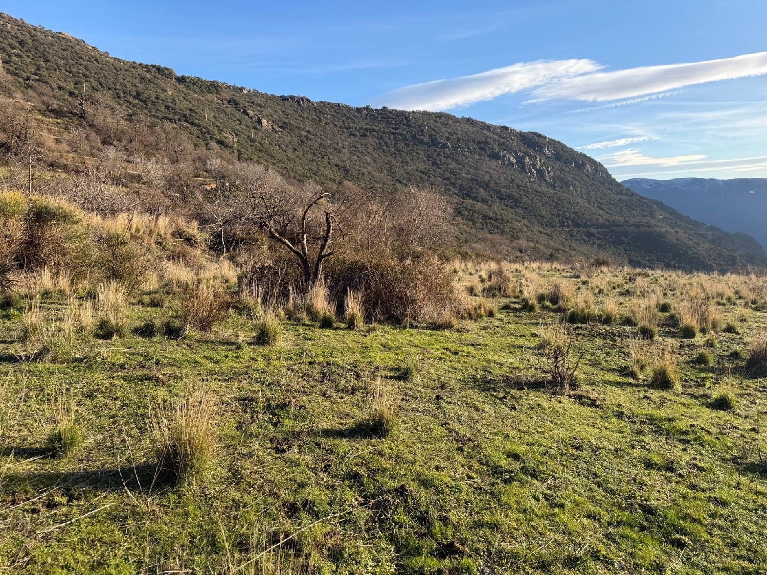 for sale plot Bubión Alpujarra Granadina 8