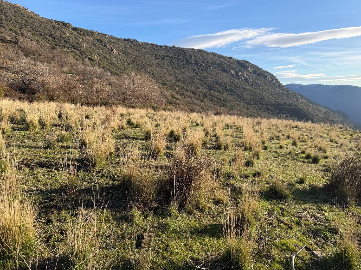 for sale plot Bubión Alpujarra Granadina 3