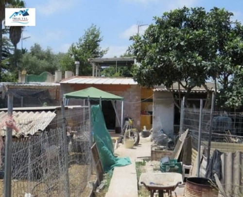 Burriana Plana Baixa terreno foto 6347800