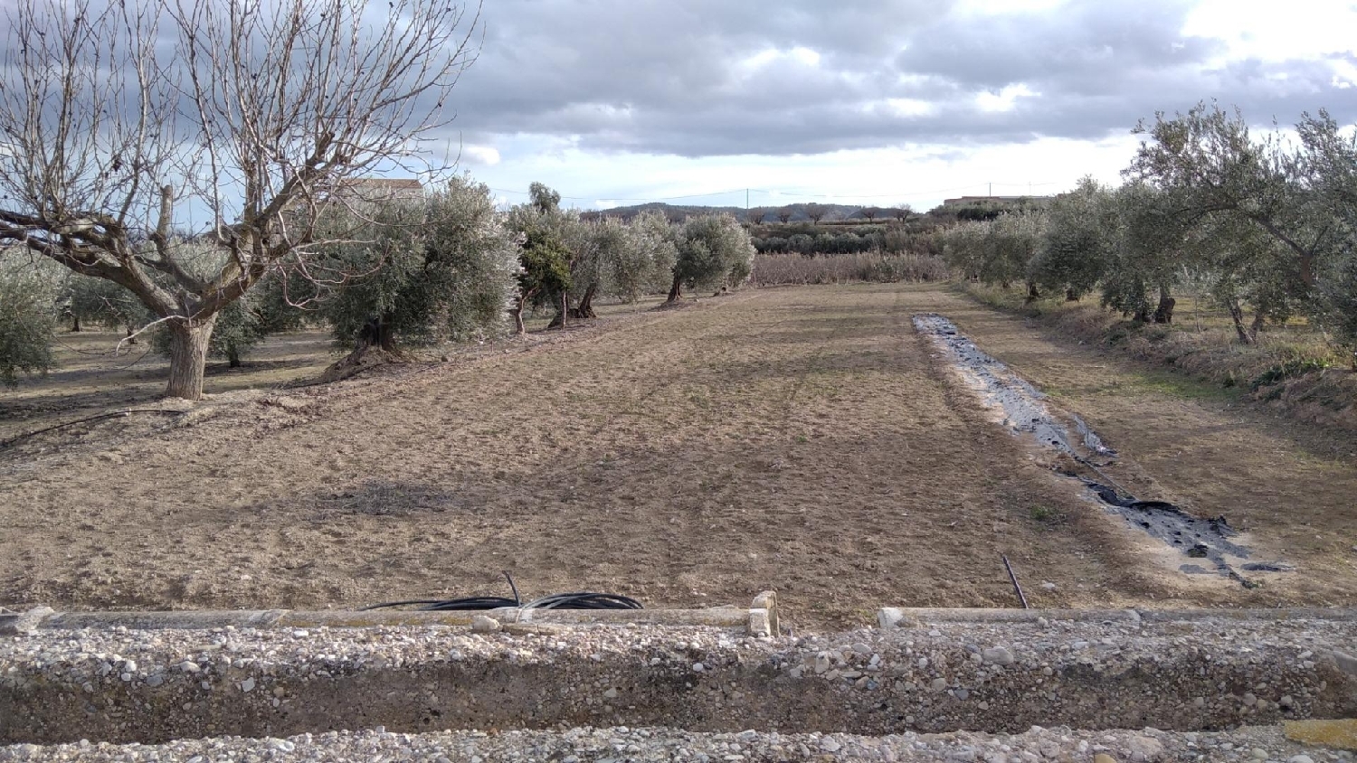  te koop perceel Calasparra Noroeste 1