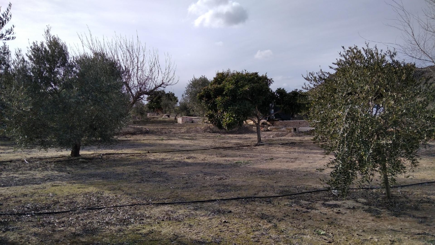  te koop perceel Calasparra Noroeste 8