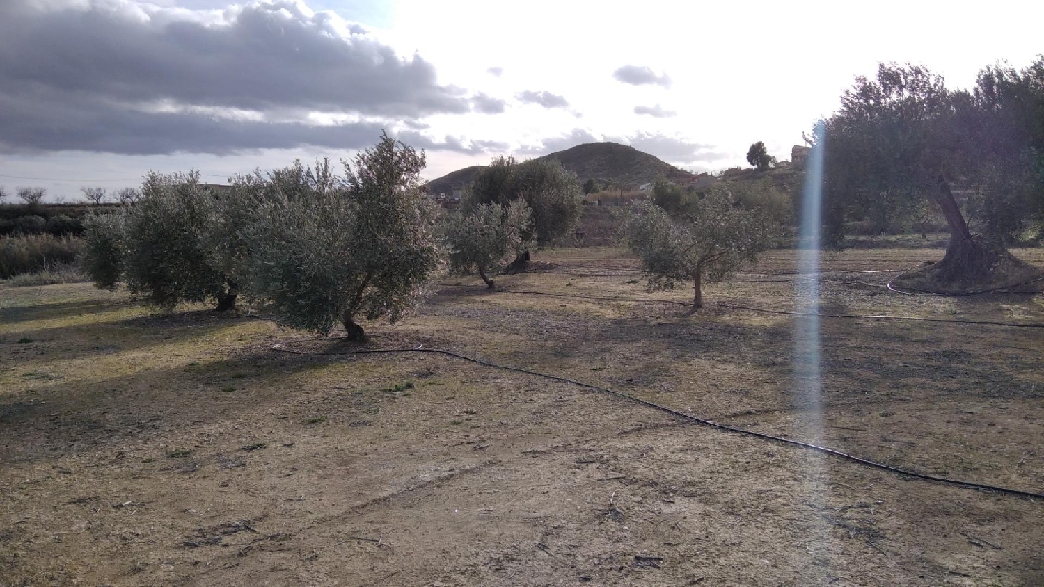  te koop perceel Calasparra Noroeste 6