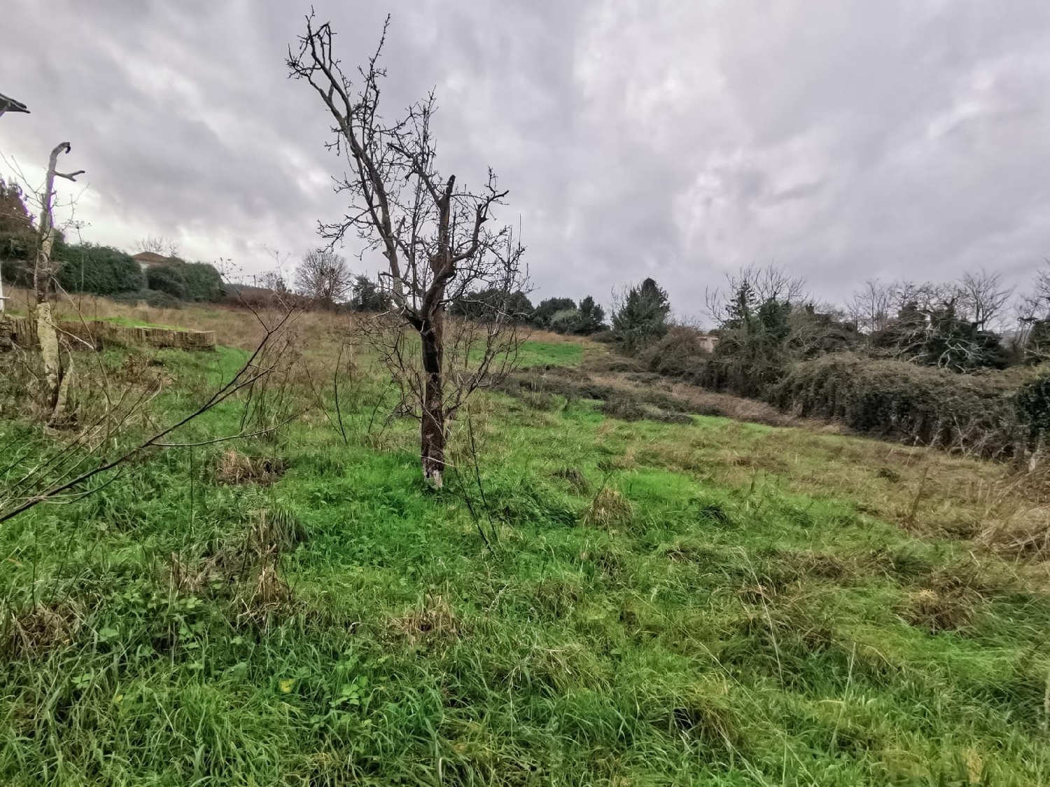  kaufen Grundstück Cambre Bergantiños 6