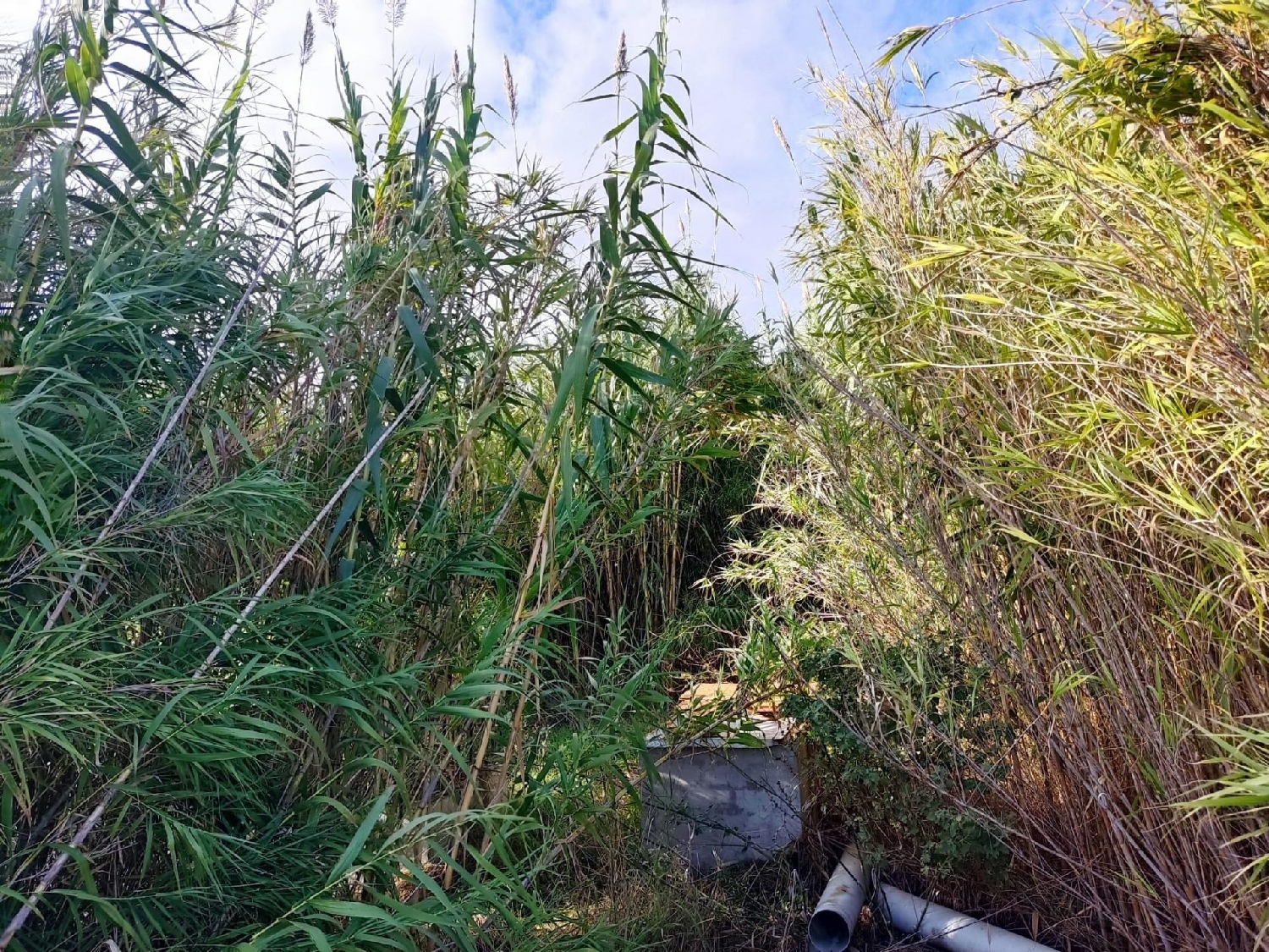  till salu tomt Can Sunyer Del Palau Baix Llobregat 6