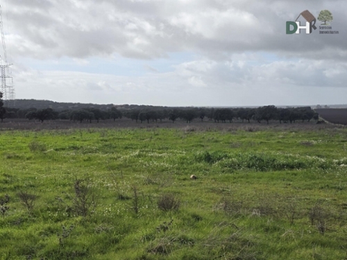 Casar De Cáceres Tajo-Salor Grundstück Bild 6345096