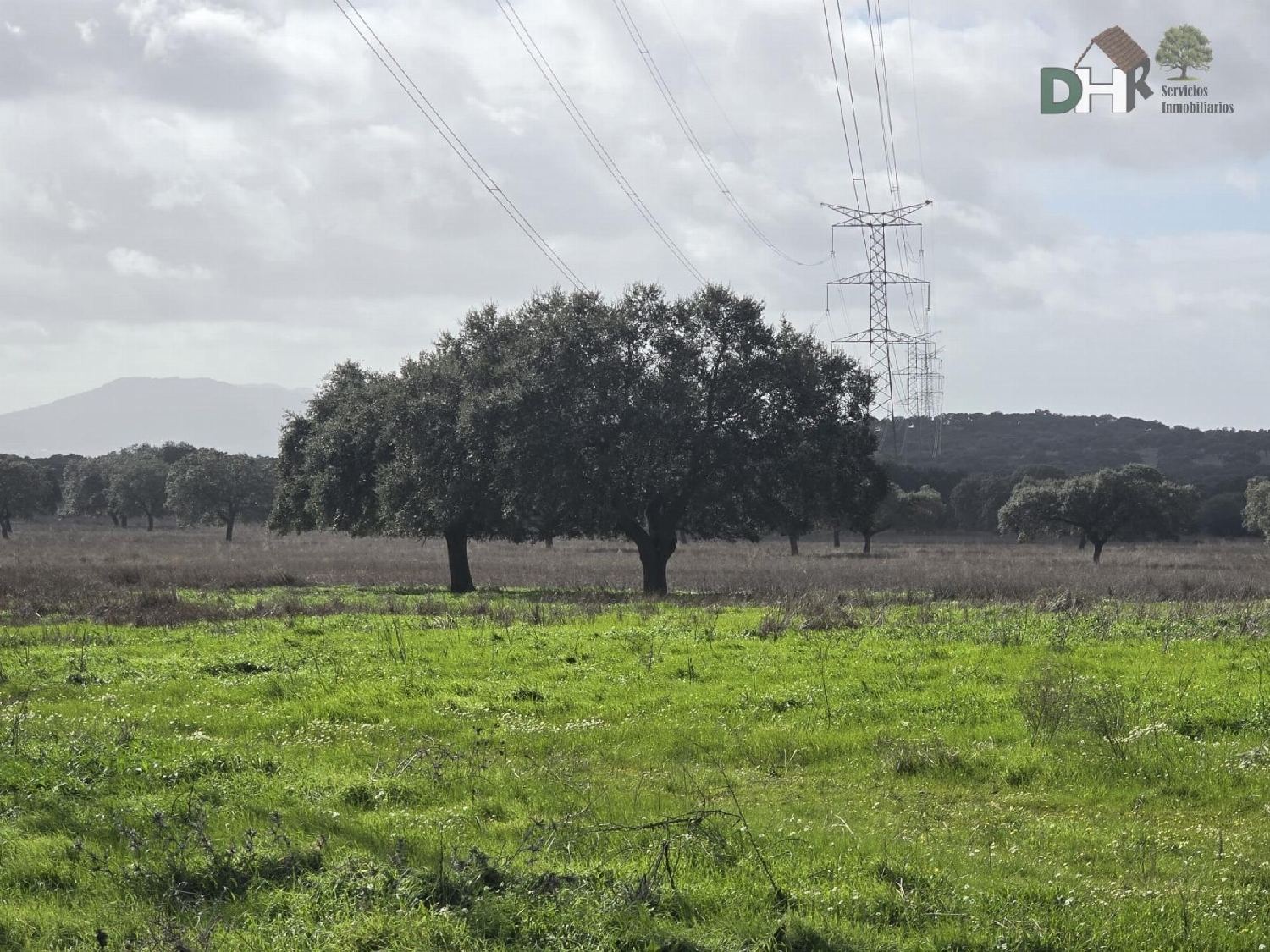  kaufen Grundstück Casar De Cáceres Tajo-Salor 2