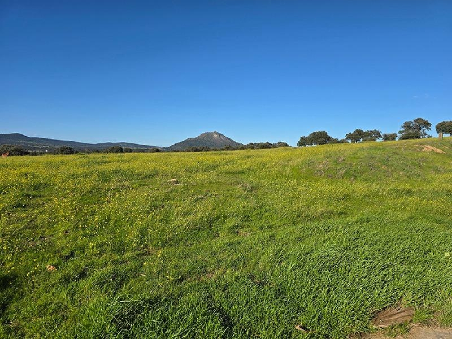 for sale plot Casar De Cáceres Tajo-Salor 2