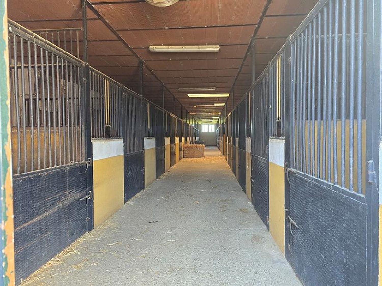 for sale plot Casar De Cáceres Tajo-Salor 6