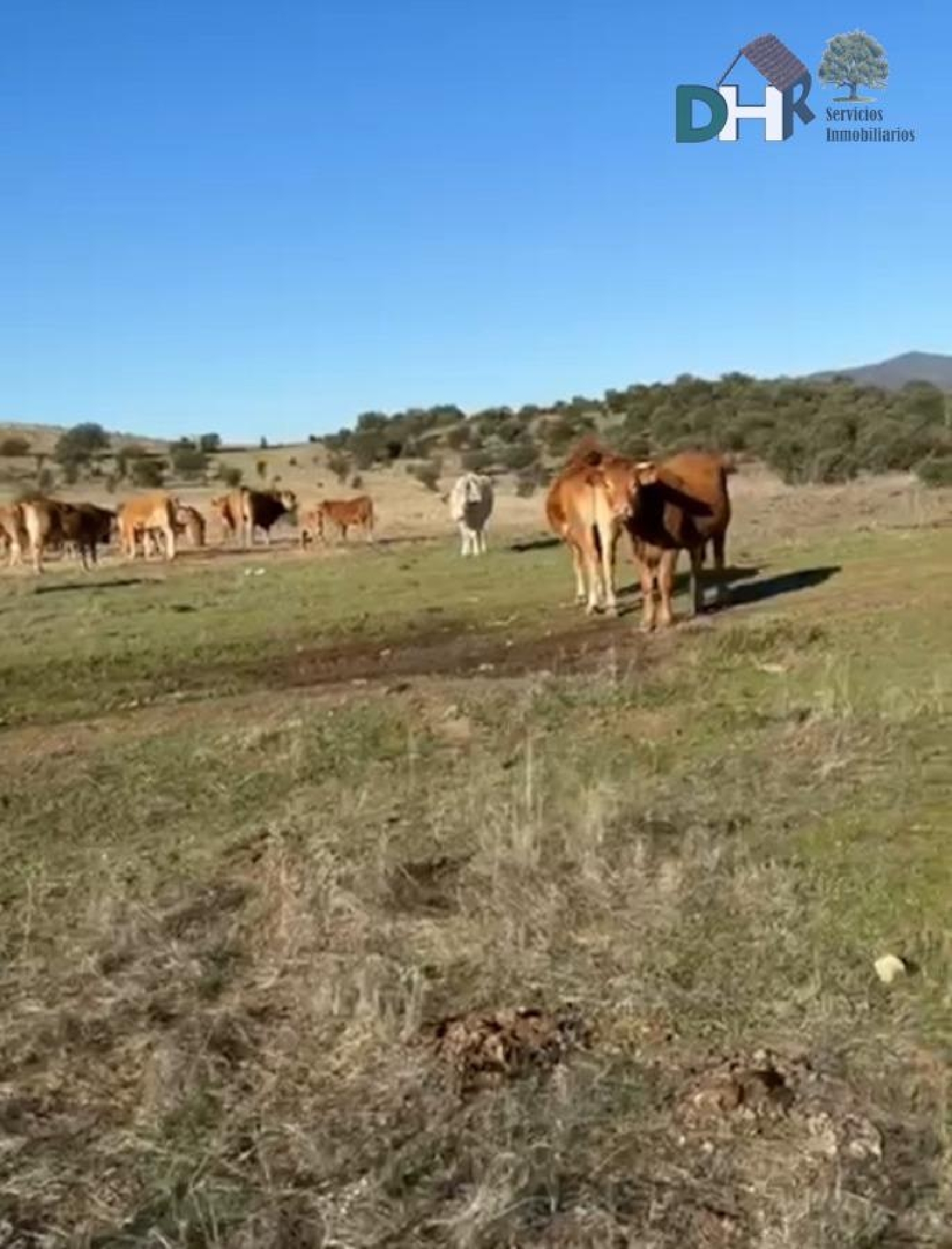for sale plot Casar De Cáceres Tajo-Salor 3