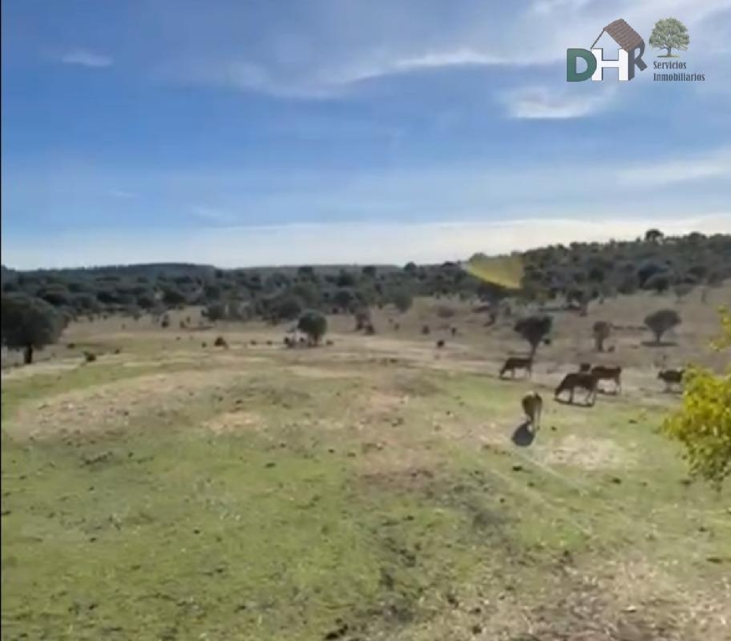 for sale plot Casar De Cáceres Tajo-Salor 4