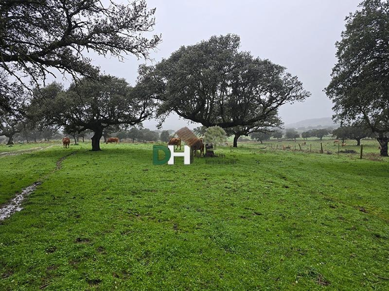 for sale plot Casar De Cáceres Tajo-Salor 3