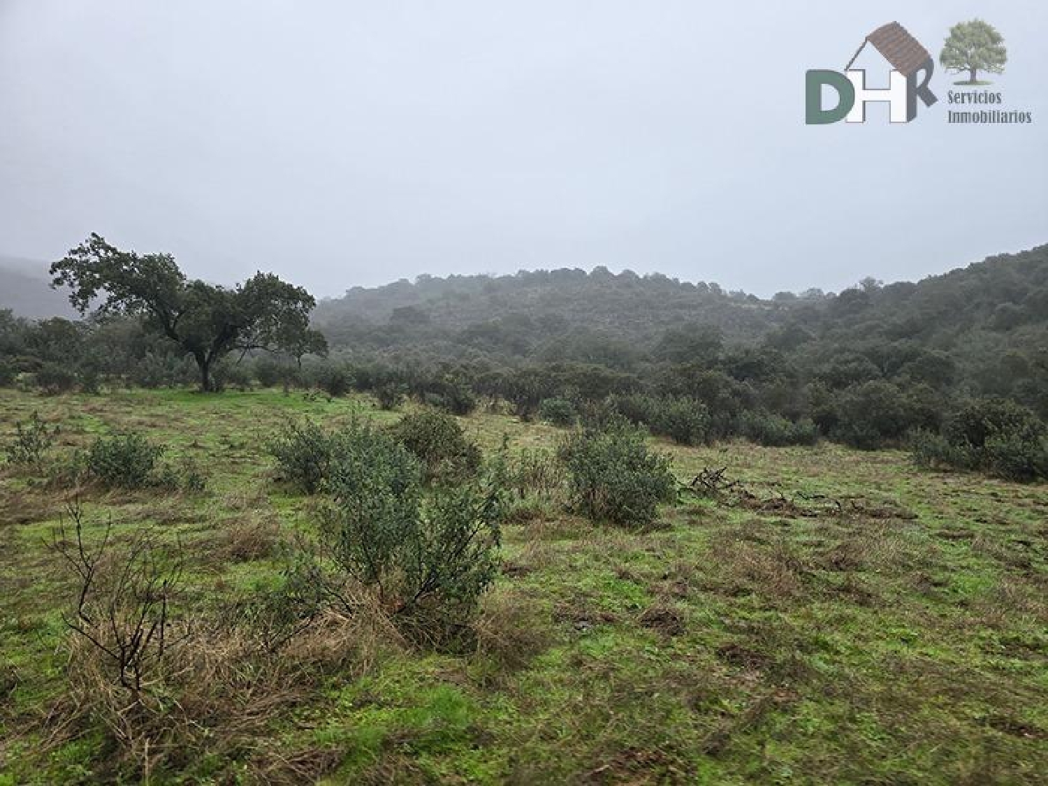 for sale plot Casar De Cáceres Tajo-Salor 5