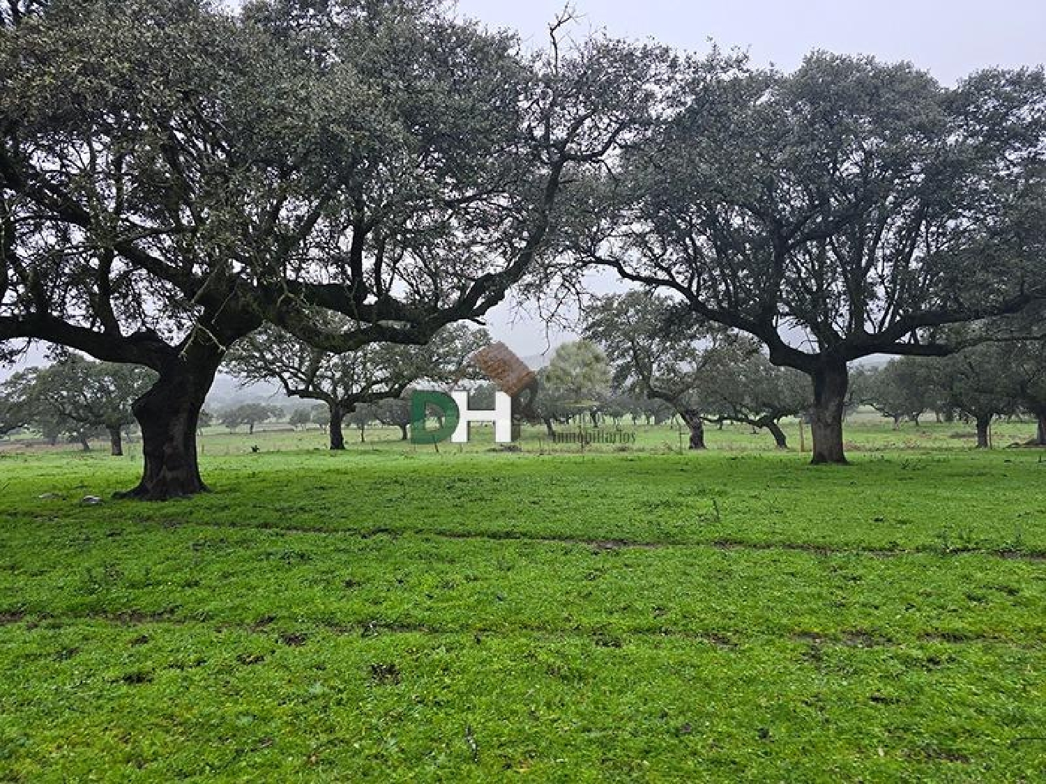 for sale plot Casar De Cáceres Tajo-Salor 1