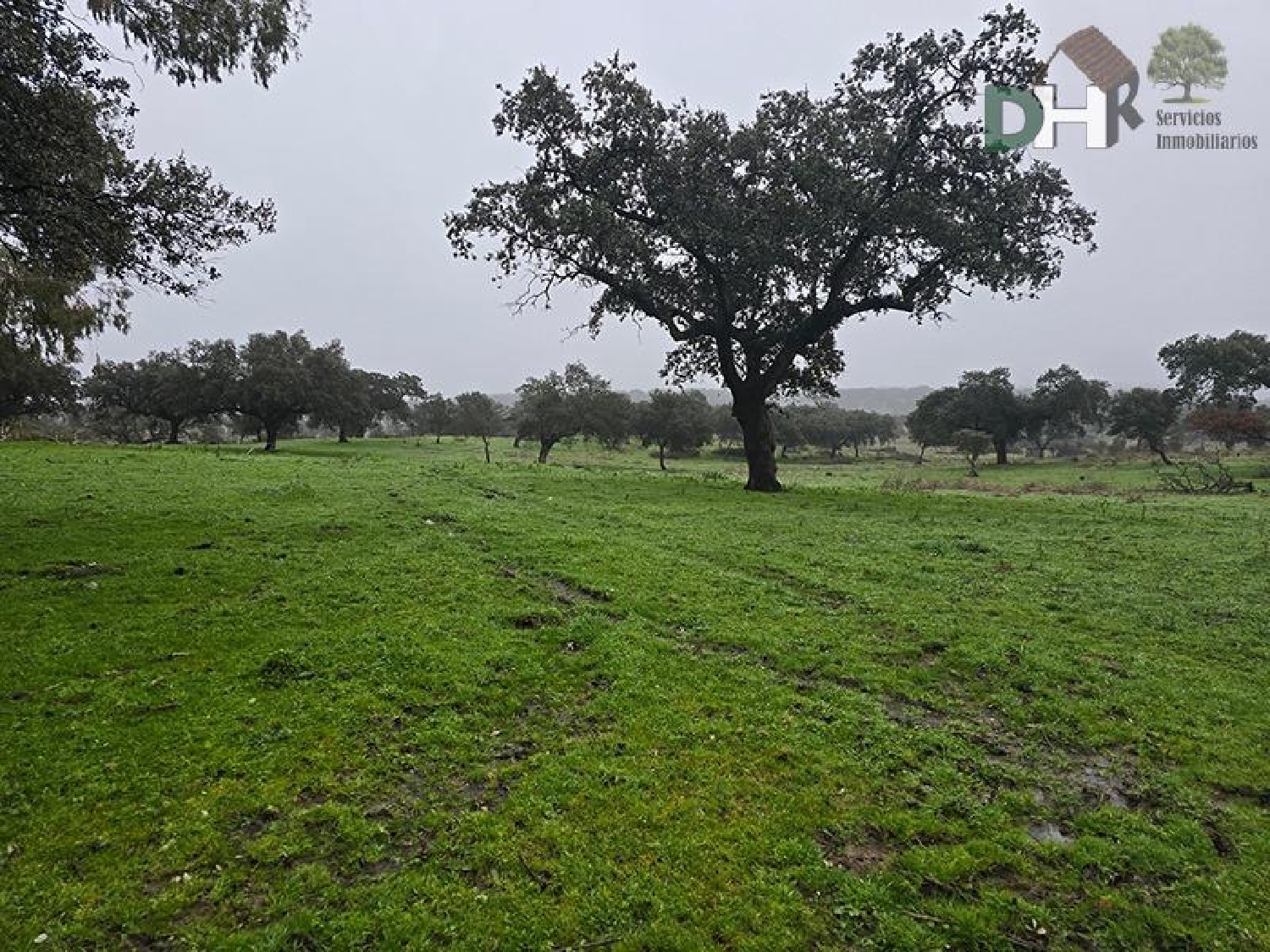 for sale plot Casar De Cáceres Tajo-Salor 2