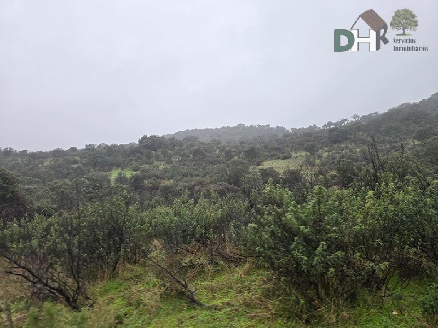 for sale plot Casar De Cáceres Tajo-Salor 7