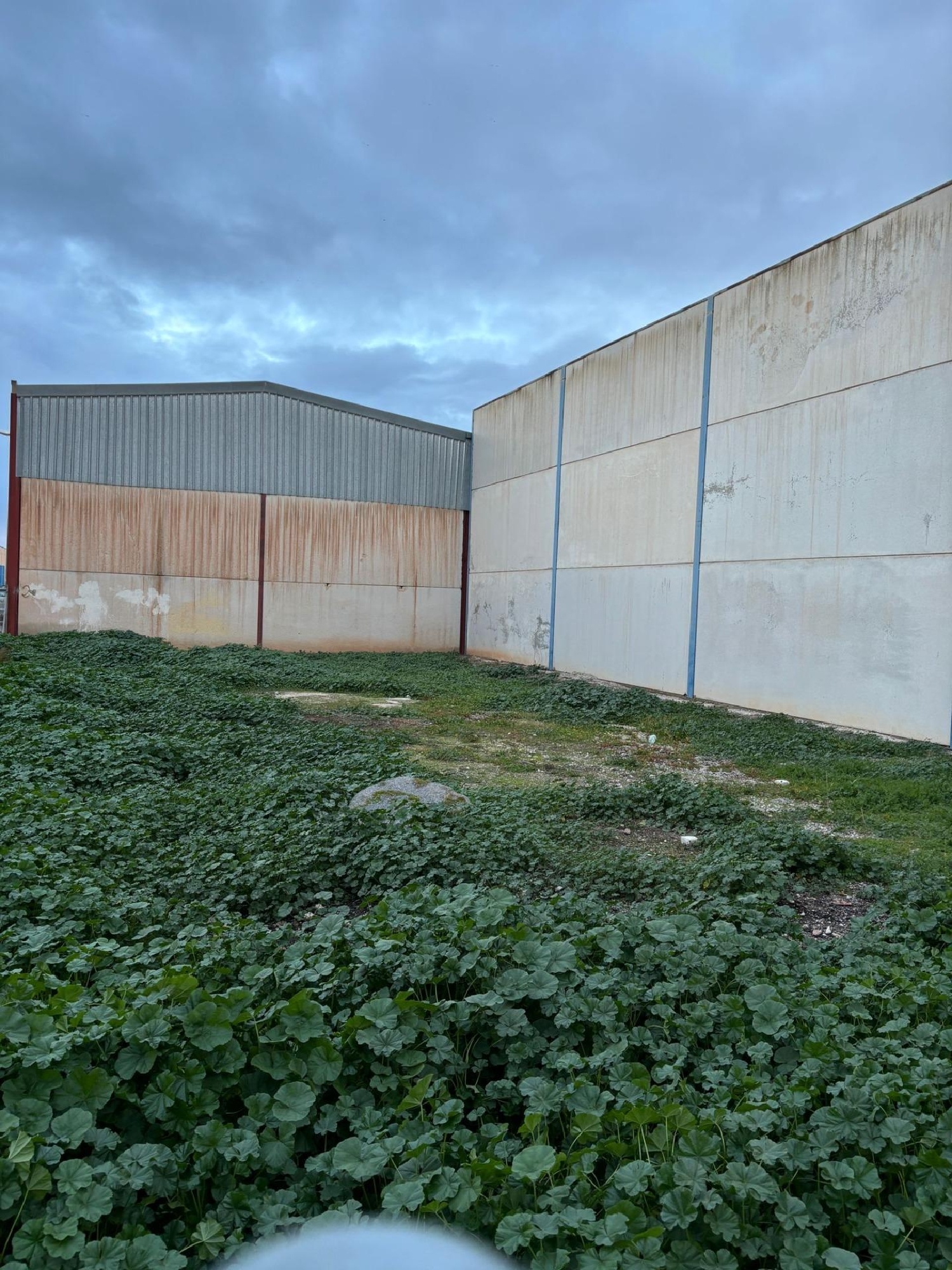  for sale plot Cijuela Vega De Granada 3