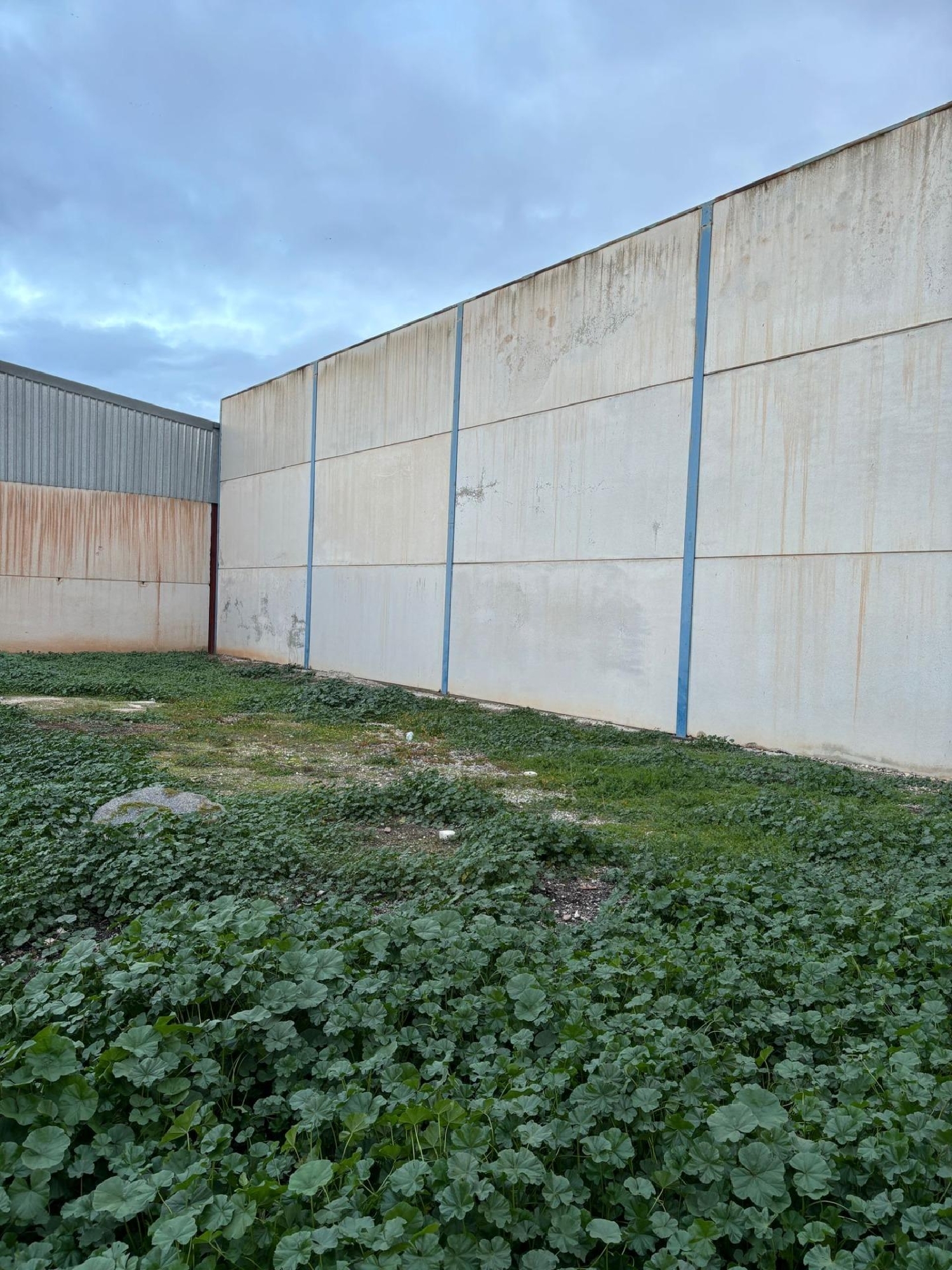  for sale plot Cijuela Vega De Granada 4