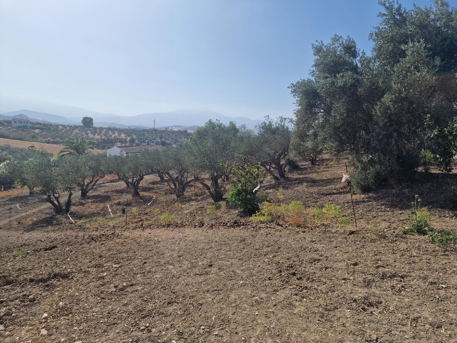  kaufen Grundstück Coín Valle Del Guadalhorce 1