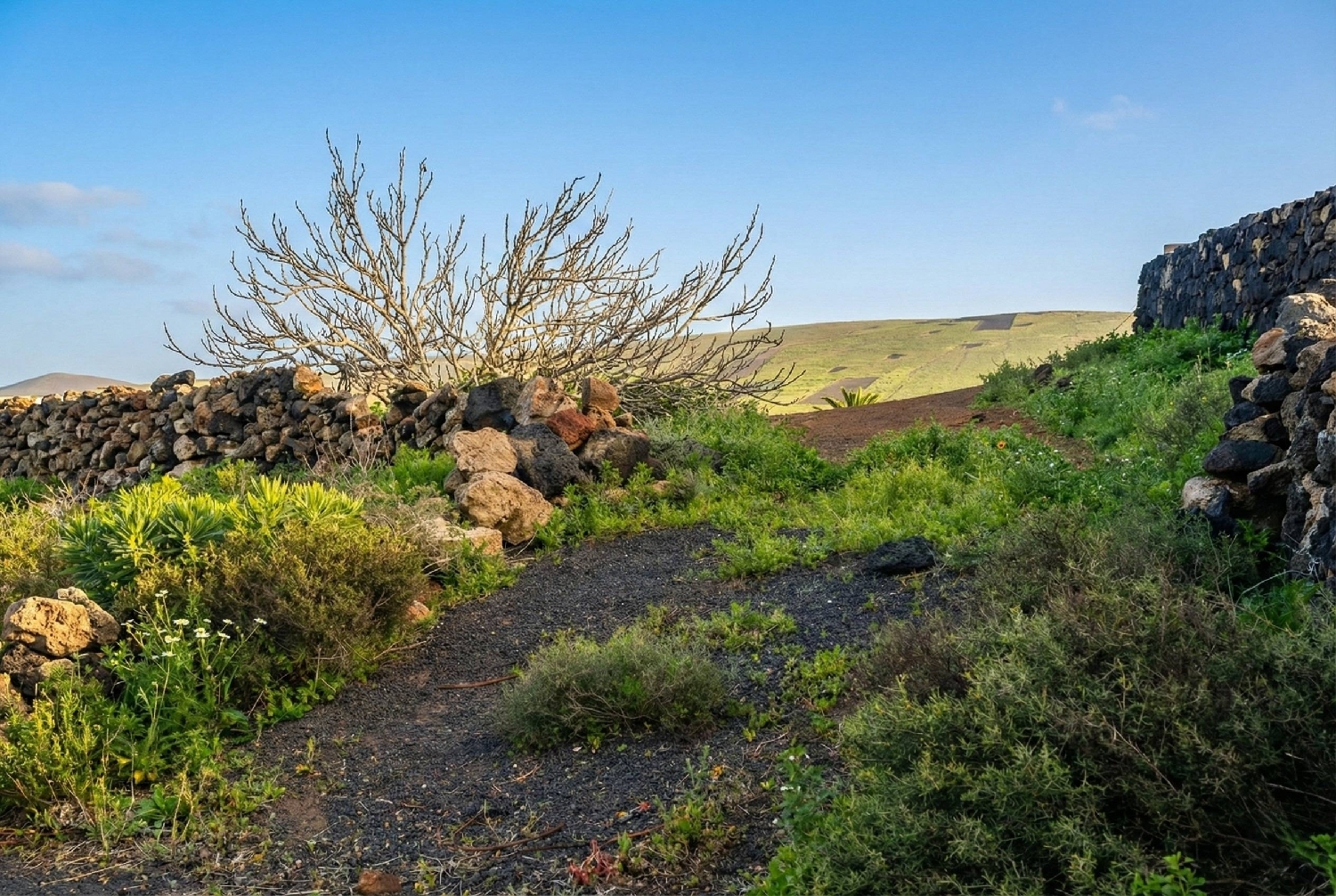  en venta terreno Costa Teguise Lanzarote 4