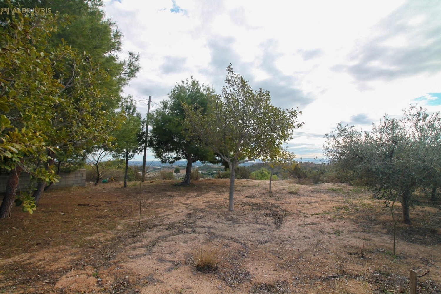  kaufen Grundstück Crevillent Baix Vinalopó 8