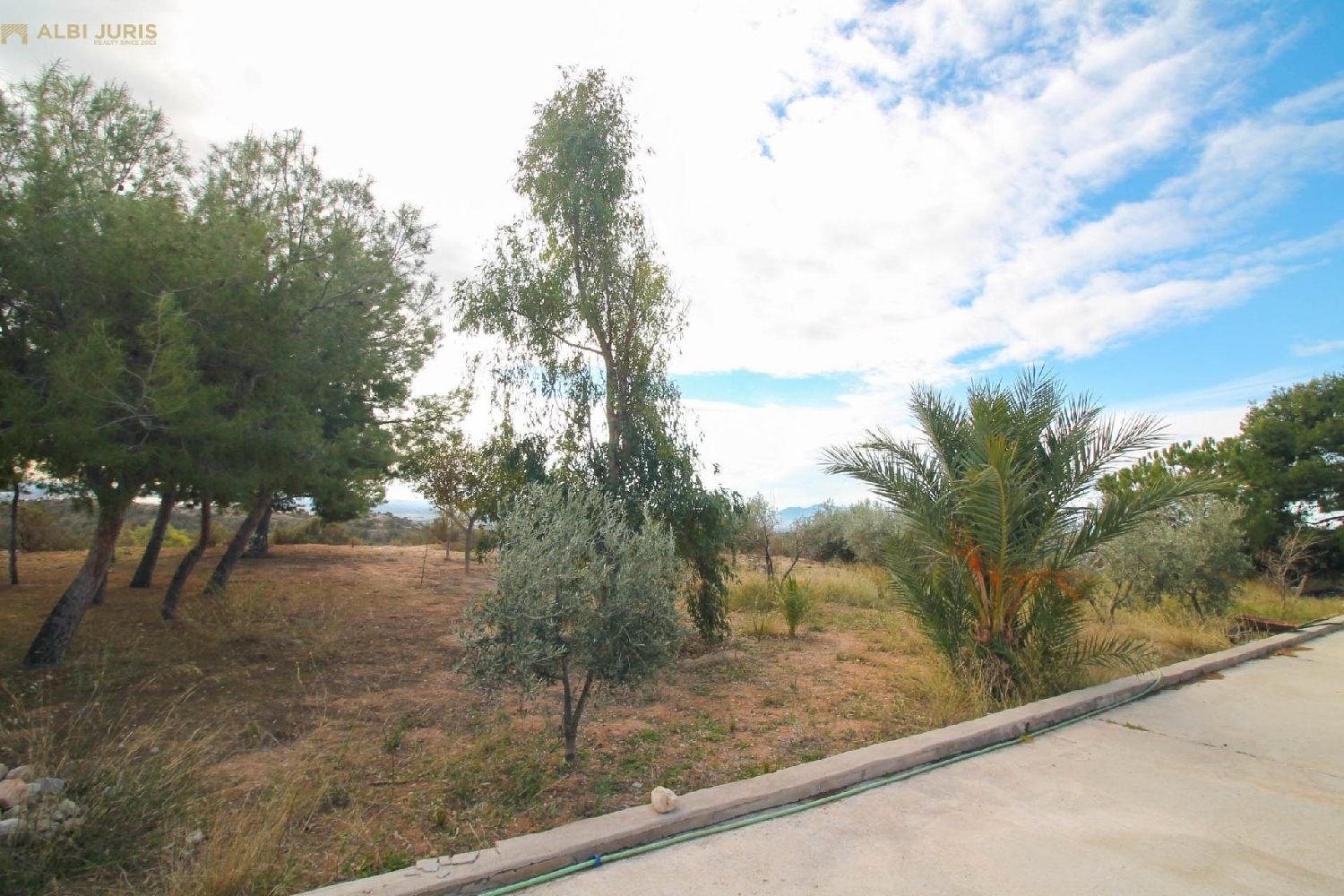  kaufen Grundstück Crevillent Baix Vinalopó 3