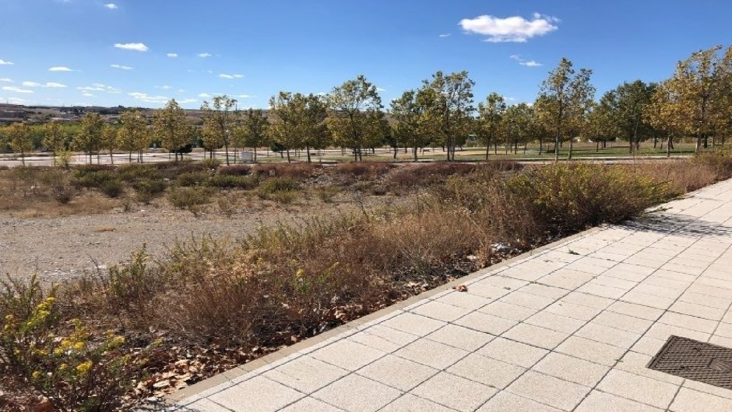  for sale plot Doñinos De Salamanca Campo De Salamanca 7