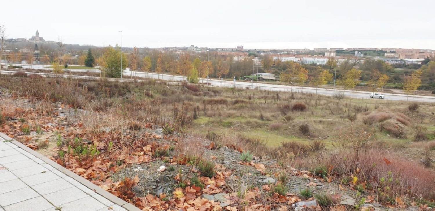  kaufen Grundstück Doñinos De Salamanca Campo De Salamanca 2