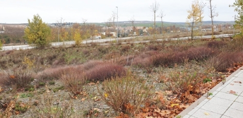 Doñinos De Salamanca Campo De Salamanca terrain foto 6343620