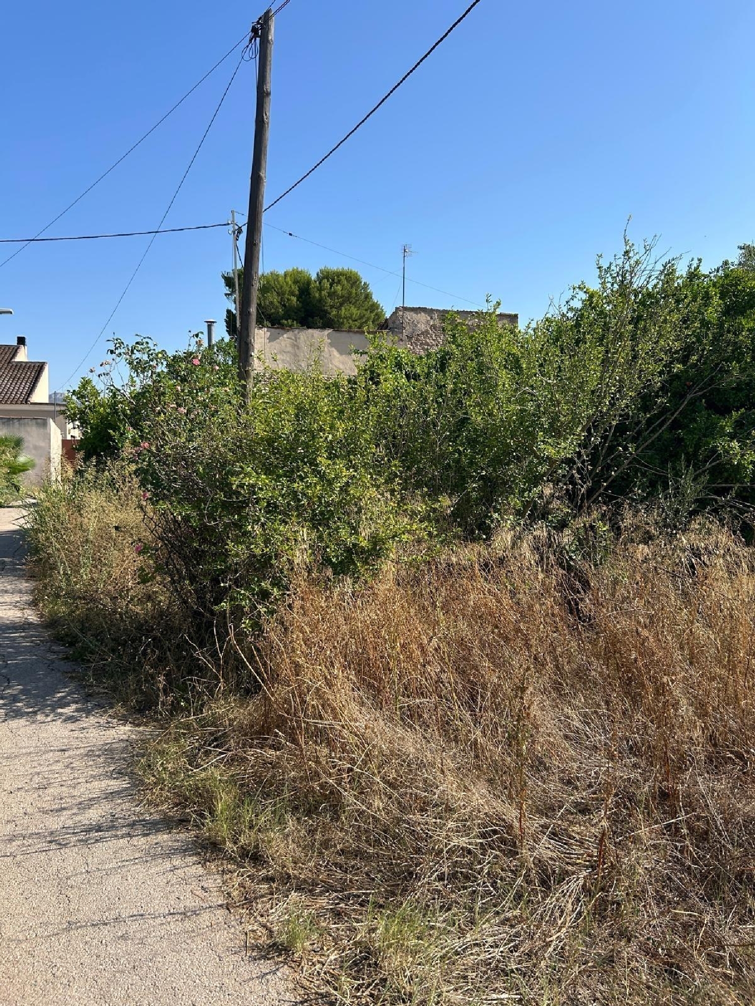  kaufen Grundstück El Palmar Janda (La) 6